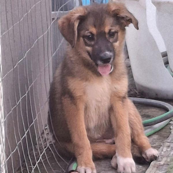 🌹BRENDA🌹cerca una mamma per sempre🥰 Foto 3