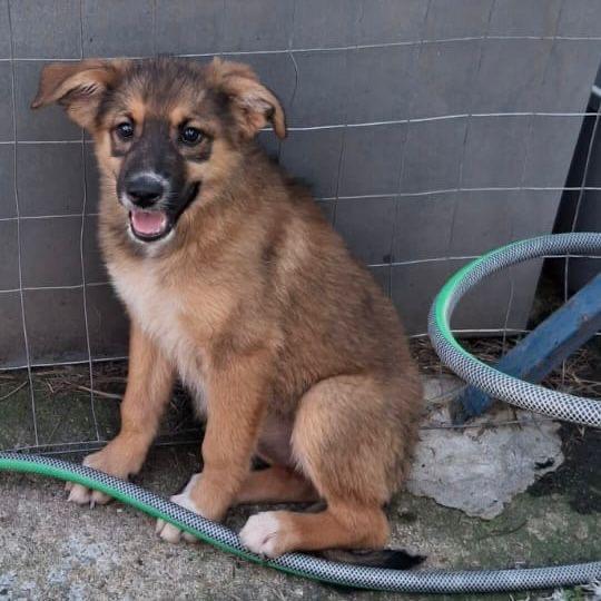 🌹BRENDA🌹cerca una mamma per sempre🥰 Foto 4