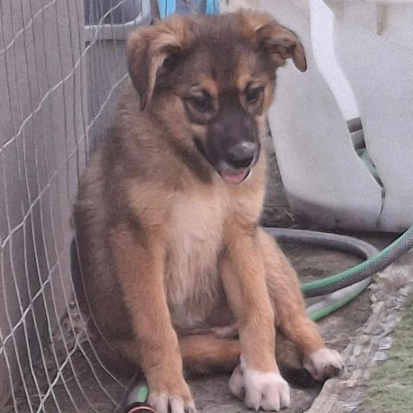 🌹BRENDA🌹cerca una mamma per sempre🥰 Foto 7