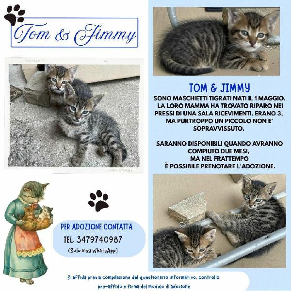 TOM e JIMMY, cuccioli per adozione di coppia! Foto 1