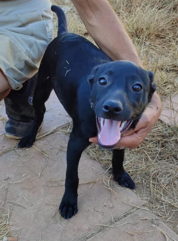 MOKA ASPETTA UNA MAMMA  Foto 3