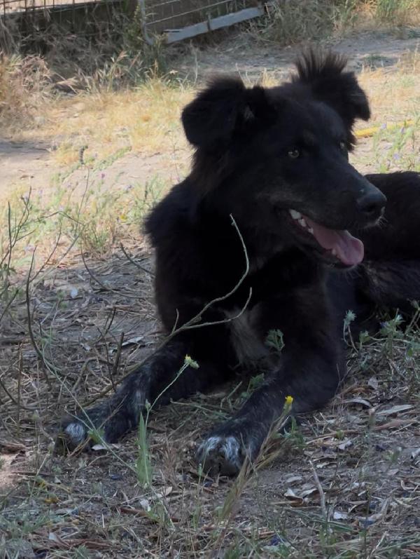 Clara, 7 Mesi, Deliziosa...