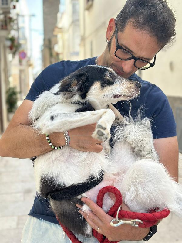 NURETTA, adorabile cucciola in adozione! Foto 8
