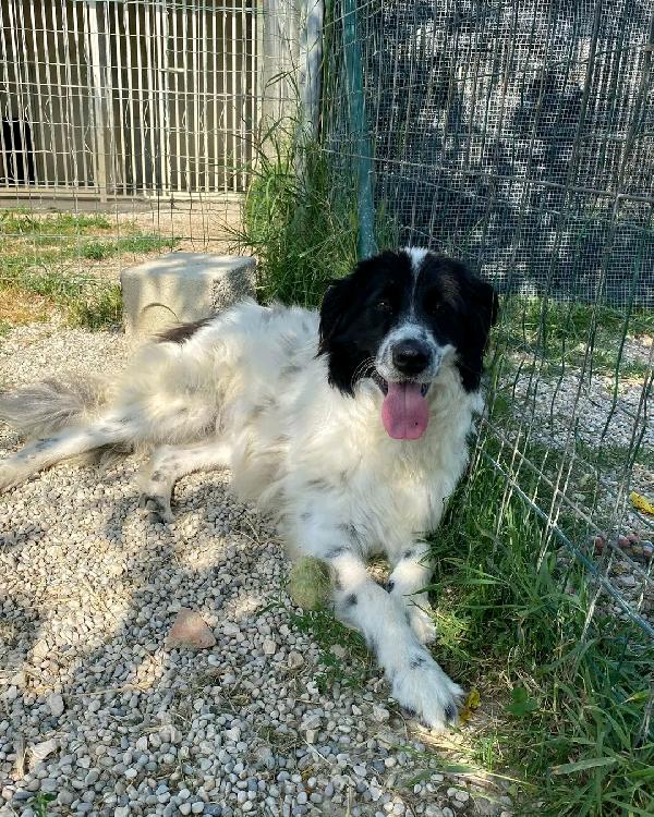 Polly Foto 4