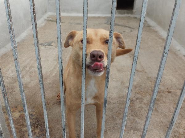 Romeo pieno di voglia di vivere Foto 3