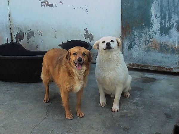 Rum Foto 3