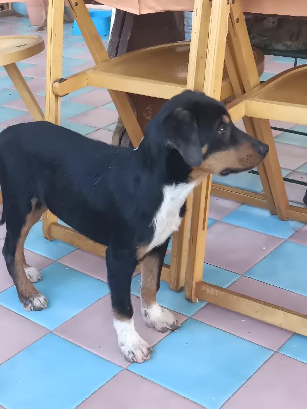 Ragù 3 Mesi E Mezzo 
