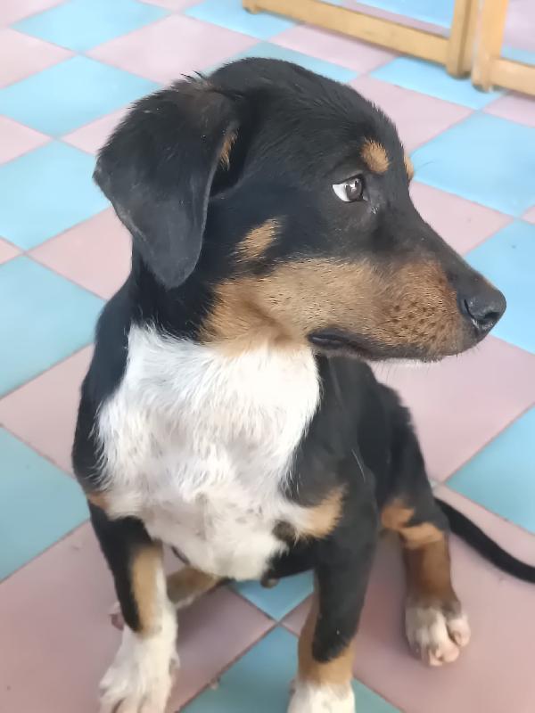 Ragù 3 mesi e mezzo  Foto 3