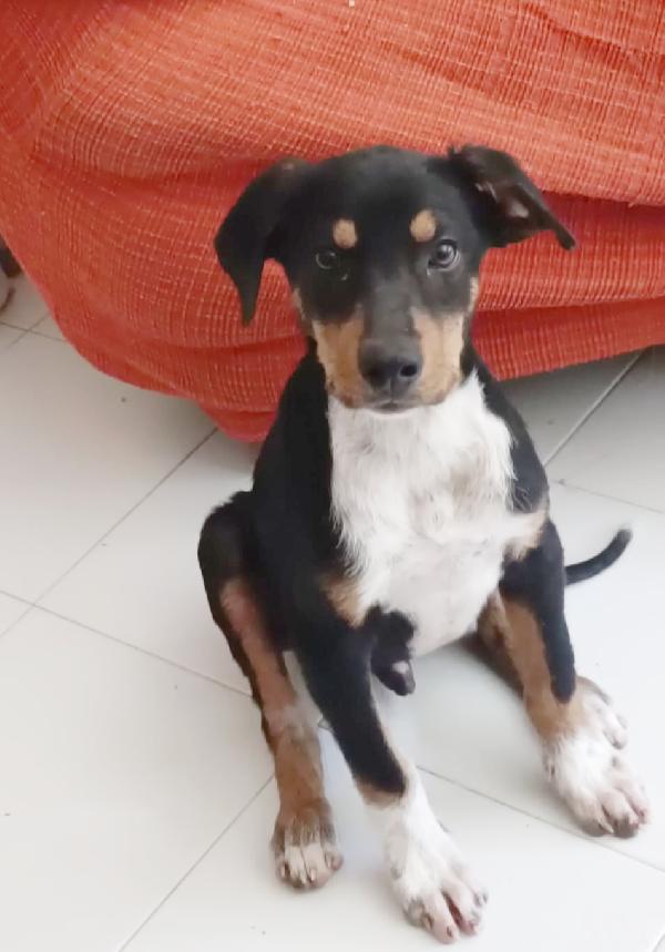 Ragù 3 mesi e mezzo  Foto 4