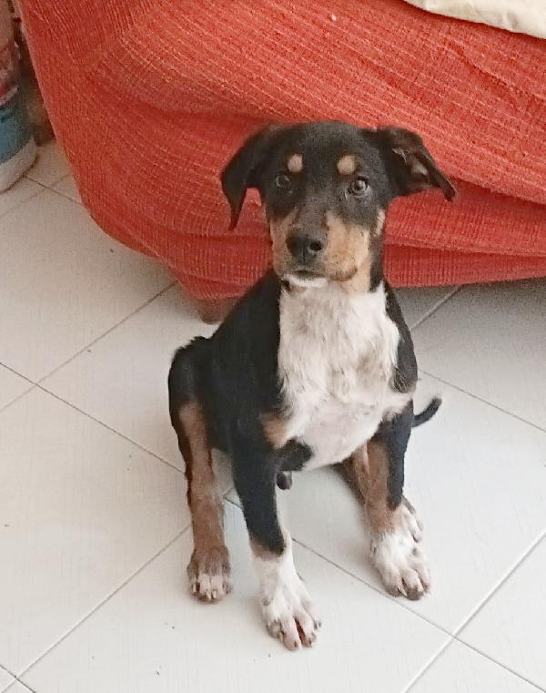 Ragù 3 mesi e mezzo  Foto 5
