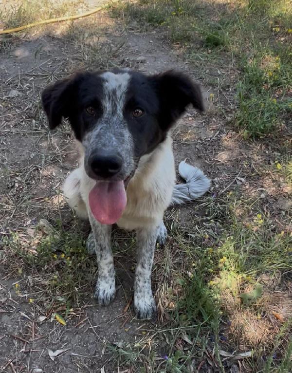 Serena, bella da rapire il cuore Foto 4