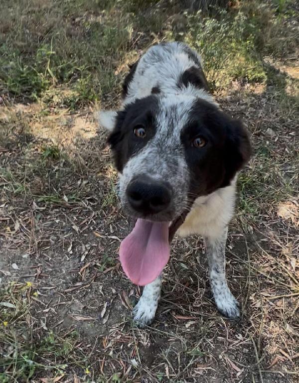 Serena💞🐾🏠 Foto 3