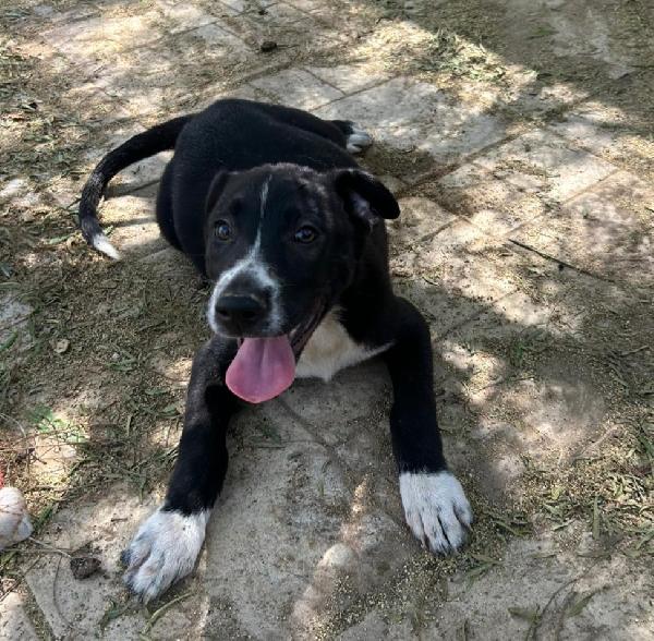 3 mesi: nera&esclusa da tutti Foto 4
