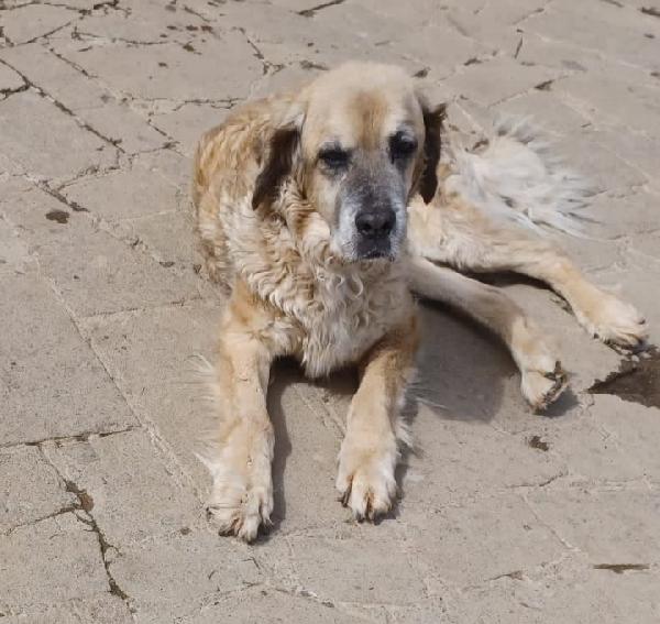 Sara 11anni non ha mai avuto 1casa.ROMA Foto 6