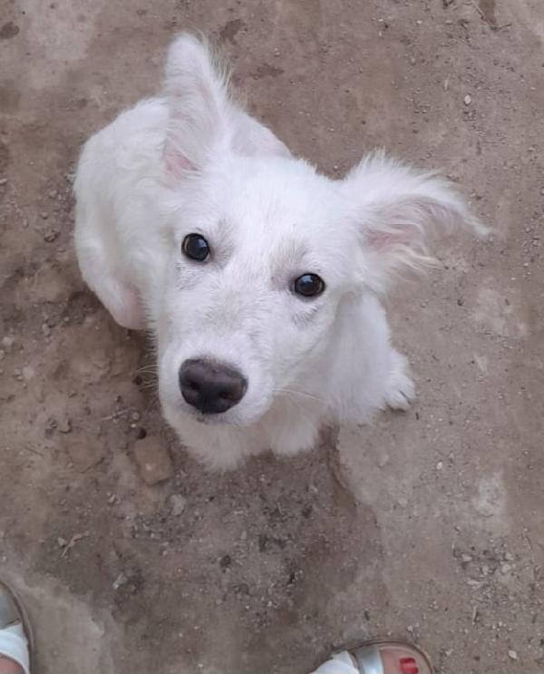 UNA MAMMA PER CHARLOTTE  Foto 1