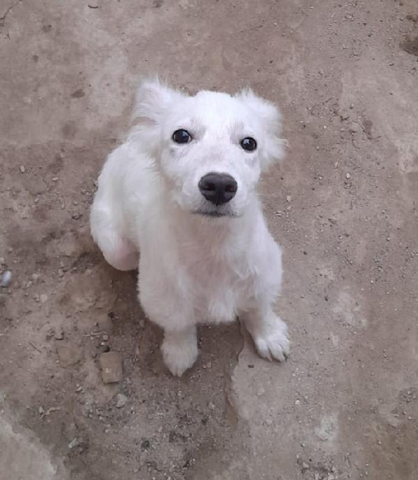 UNA MAMMA PER CHARLOTTE  Foto 2