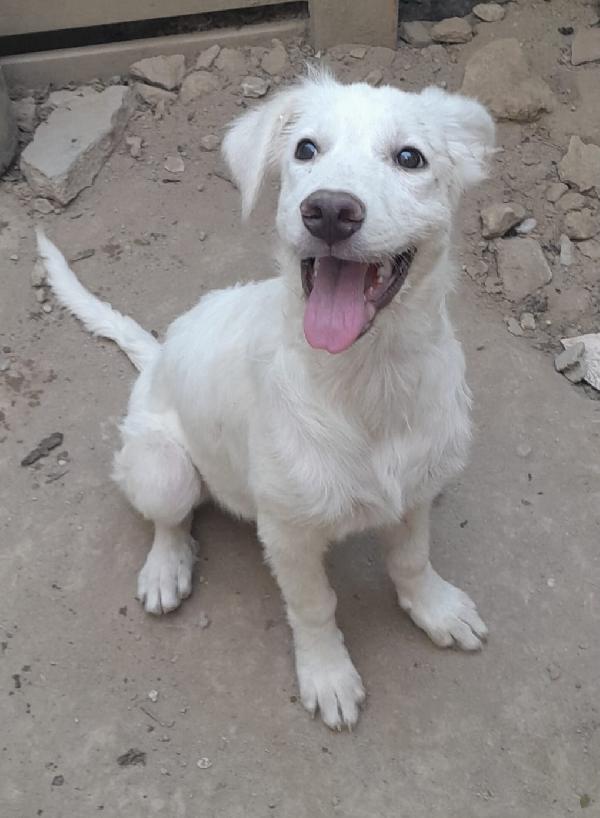 UNA MAMMA PER CHARLOTTE  Foto 3