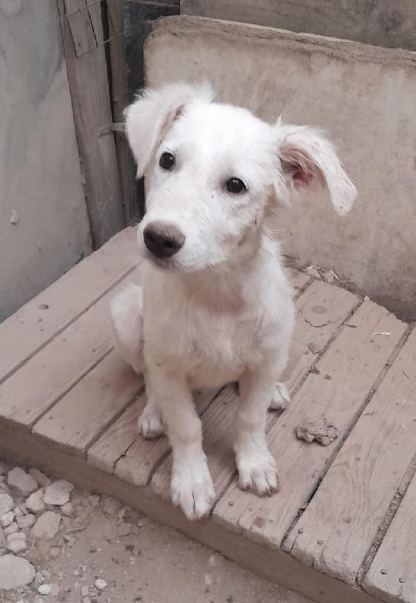 UNA MAMMA PER CHARLOTTE  Foto 4