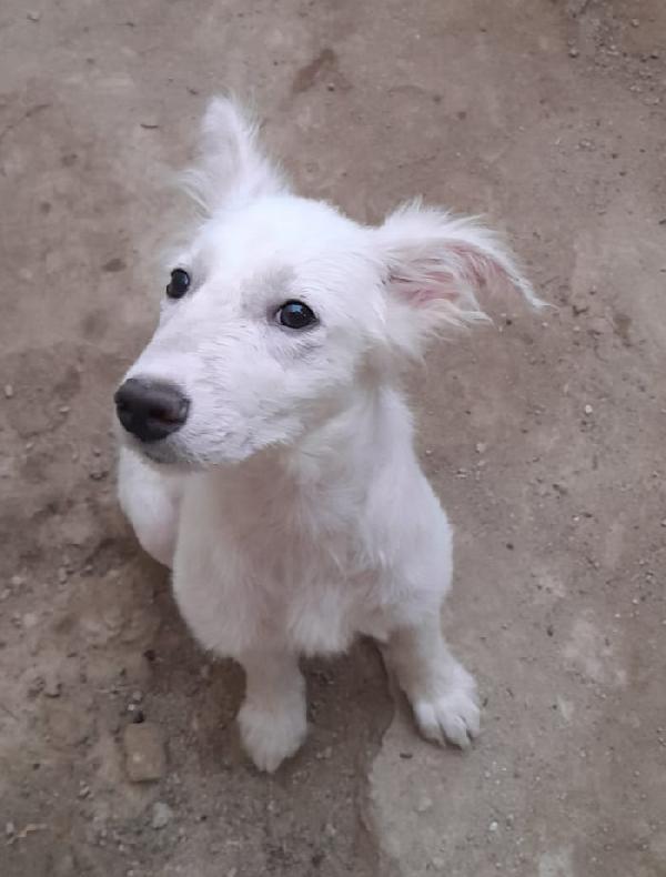 UNA MAMMA PER CHARLOTTE  Foto 5