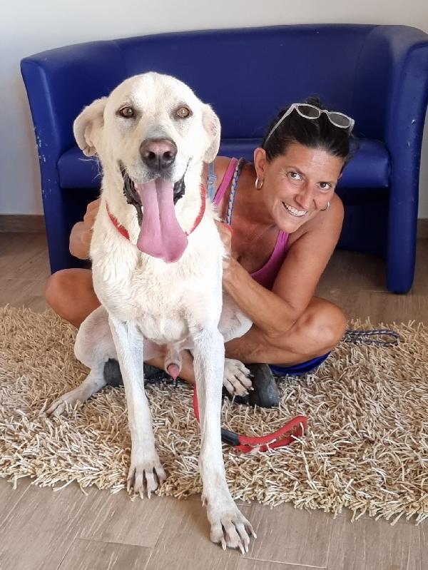 Lemon Cerca Famiglia. Info Monica 3890238584 Foto 2