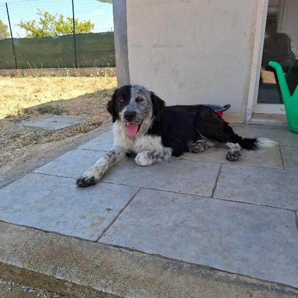 Concita Cerca Famiglia. Info adozione Monica 3890238584 Foto 4
