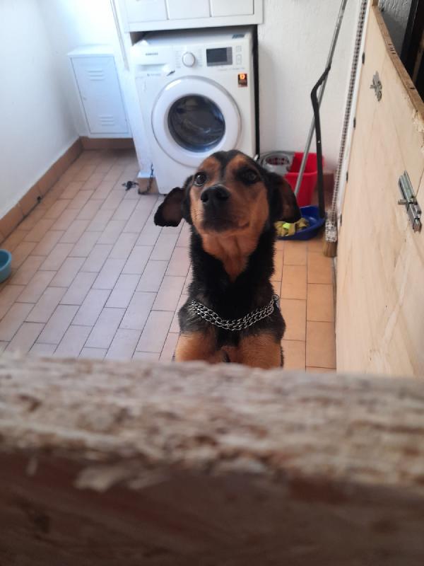 Lo cedono a 9 anni... Ma come si fa?!  Foto 2