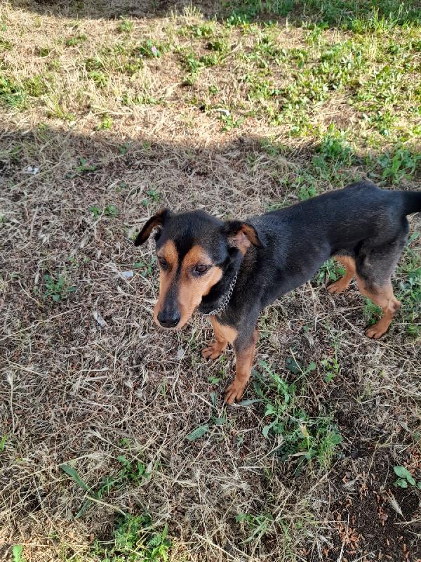 Lo cedono a 9 anni... Ma come si fa?!  Foto 3