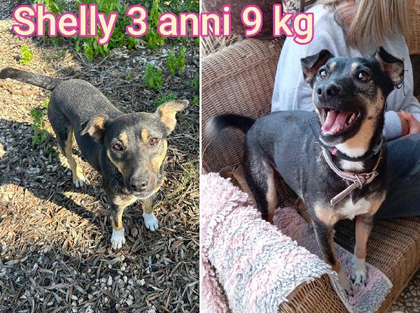 TAGLIE PICCOLE E CONTENUTE!! Foto 8