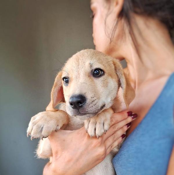 Toffee 💙🐾💙 Foto 3