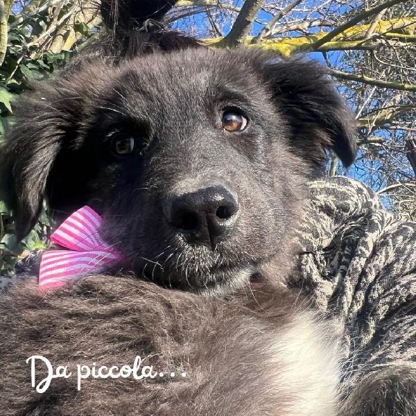 Clara, Un Sole Nei Suoi Occhi