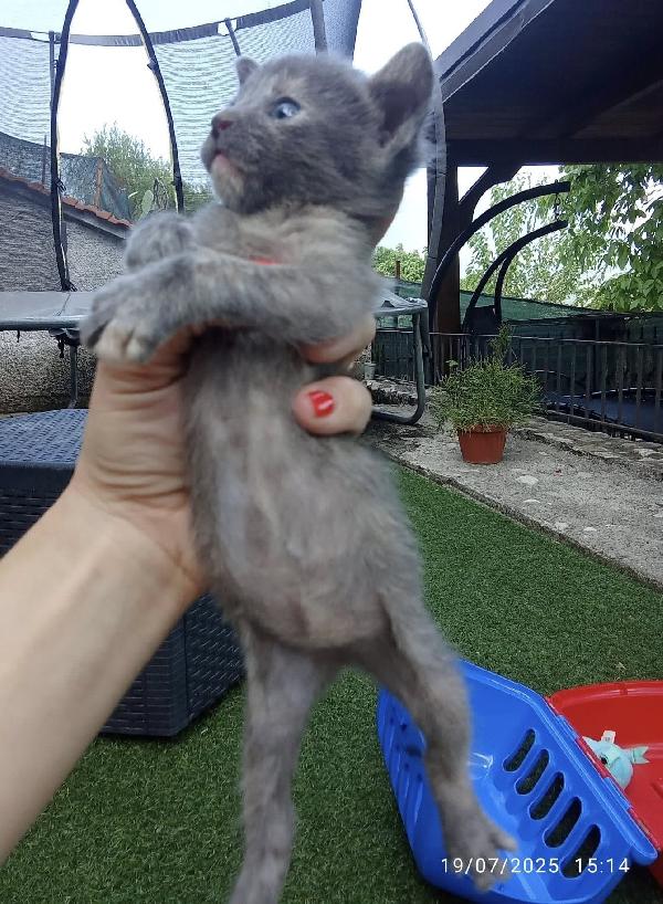 PIOGGIA E TEMPESTA Foto 4