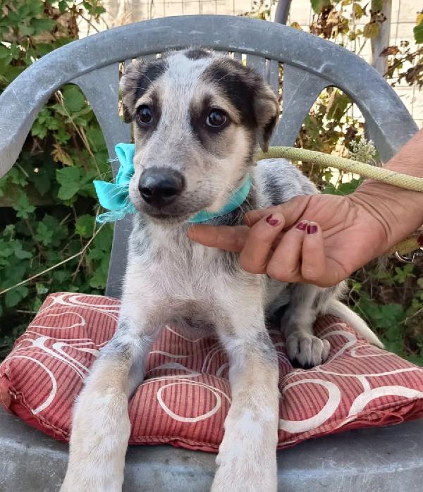 UNA MAMMA PER SID Foto 2