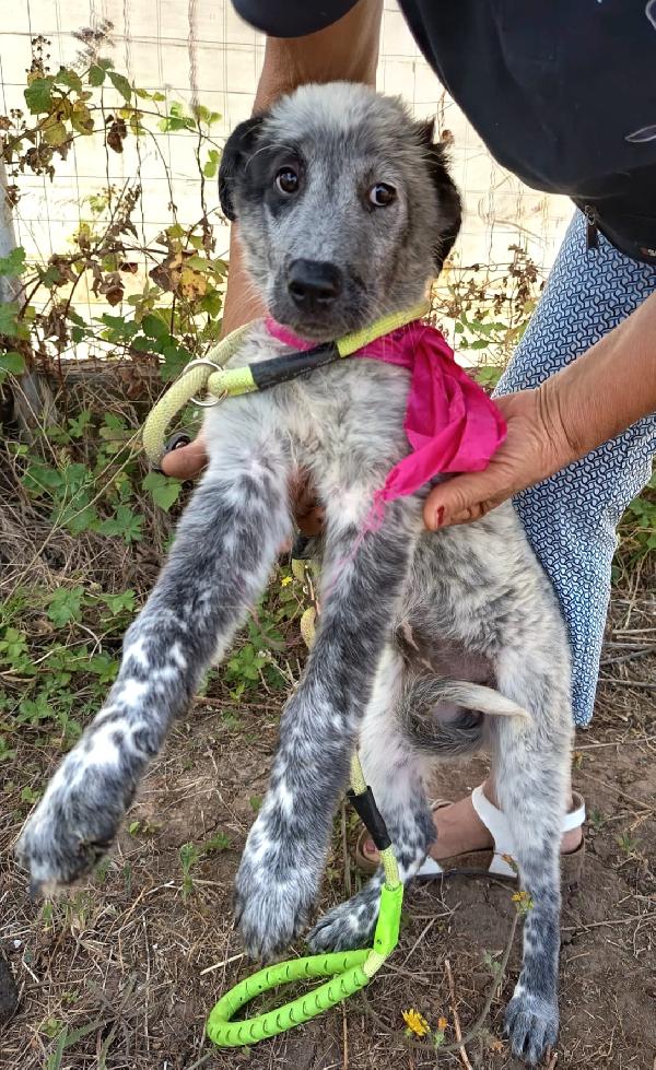 UNA MAMMA PER ELLIE Foto 2