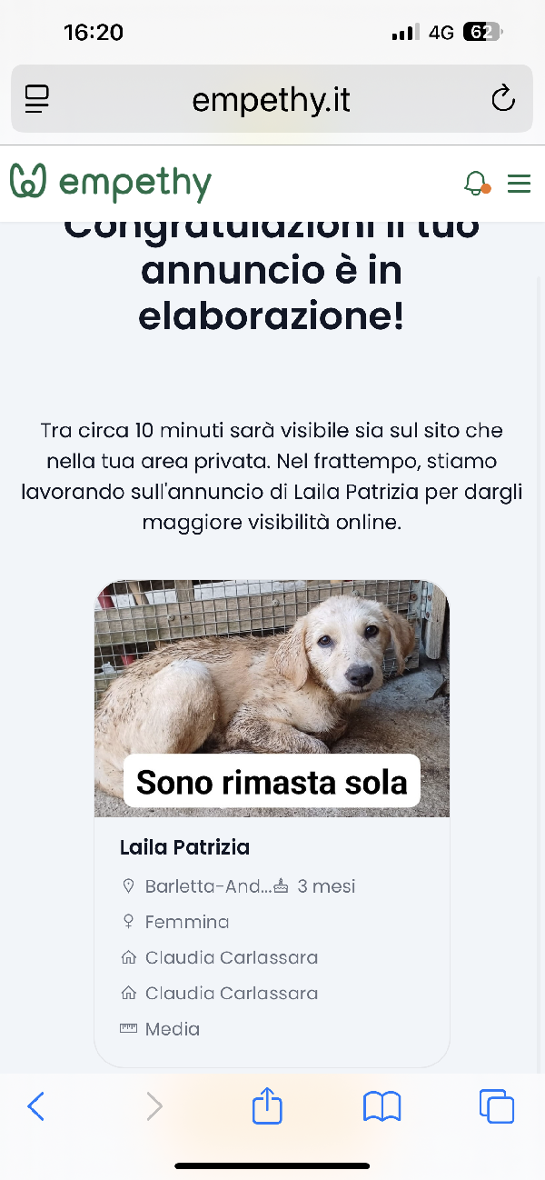 Laila Cucciola Simil Labrador Ma Più Bella 