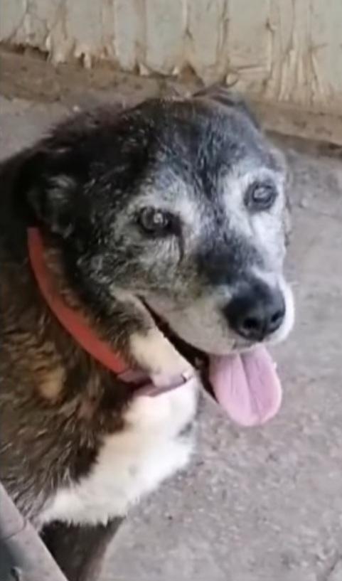 Lady 12anni invisibile,1vita da reclusa  Foto 2