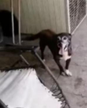 Lady 12anni invisibile,1vita da reclusa  Foto 4