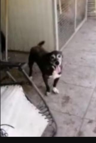 Lady 12anni invisibile,1vita da reclusa  Foto 5