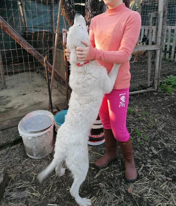 PERLA Foto 7