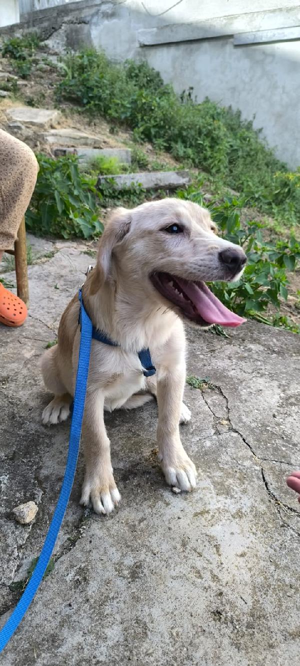 Liilo Foto 5