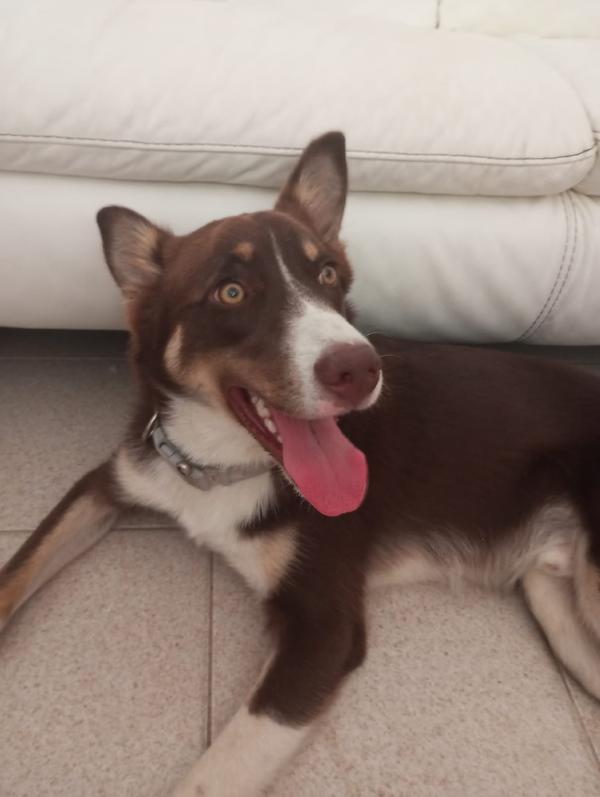 UNA MAMMA PER CHOCO Foto 2