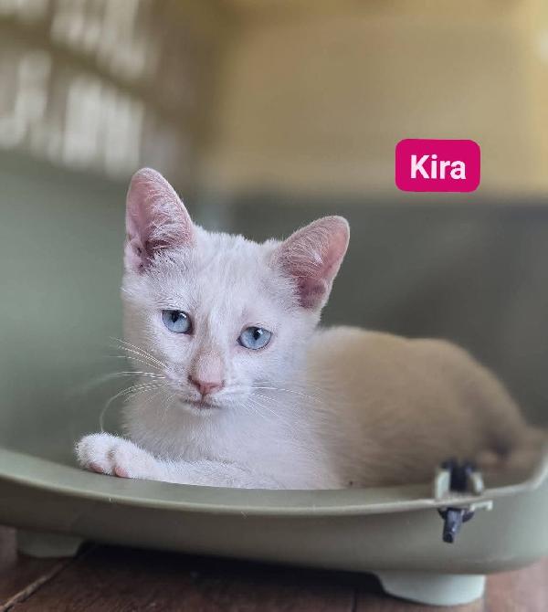Caspel e kira  Foto 4