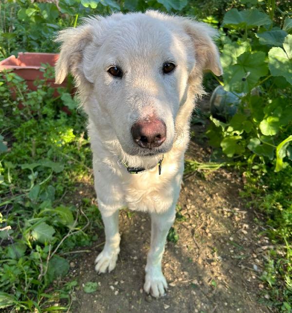 Lollo, 1 Anno Rinchiuso Ed Escluso