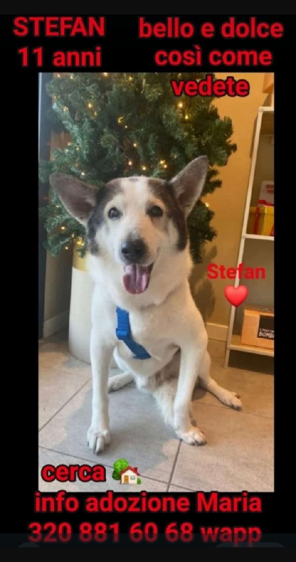 Stefan 11Anni Una Pessima Vita!