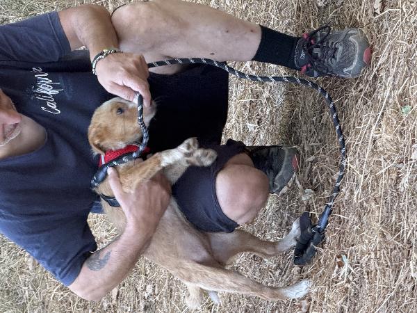 💐🐾 gaia dolce cucciola in adozione  Foto 6