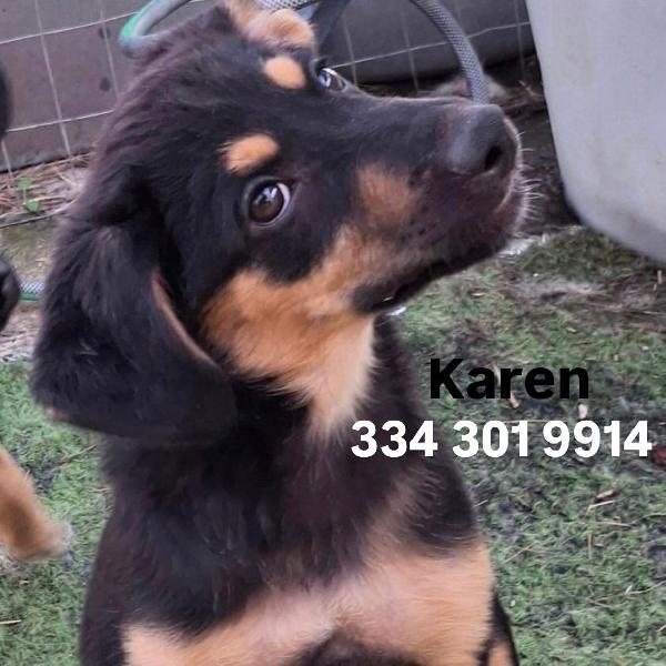 Karen, Cucciola Meravigliosa 