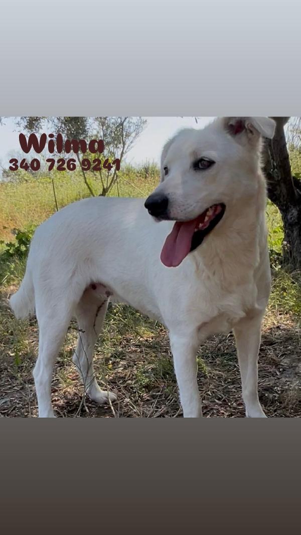 Wilma🏩❣️🍀