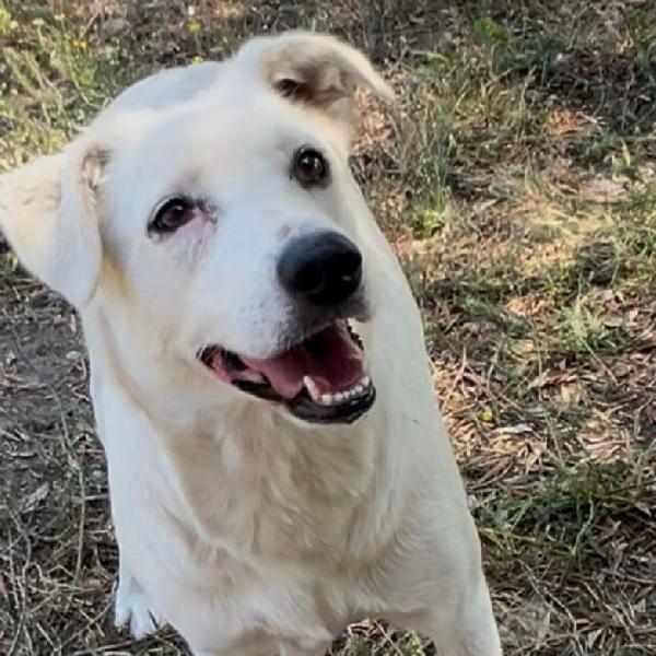 Wilma🤩❣️🦴