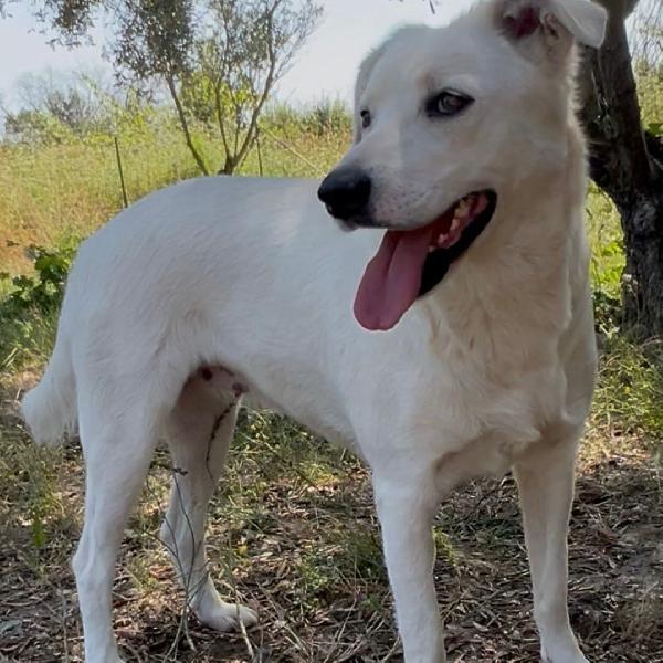 Wilma🤩❣️🦴 Foto 2
