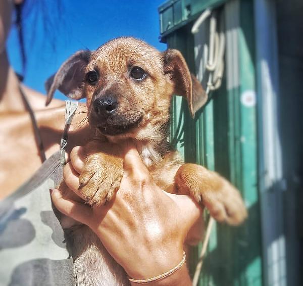 Balú🦴🐕🦴 Foto 3