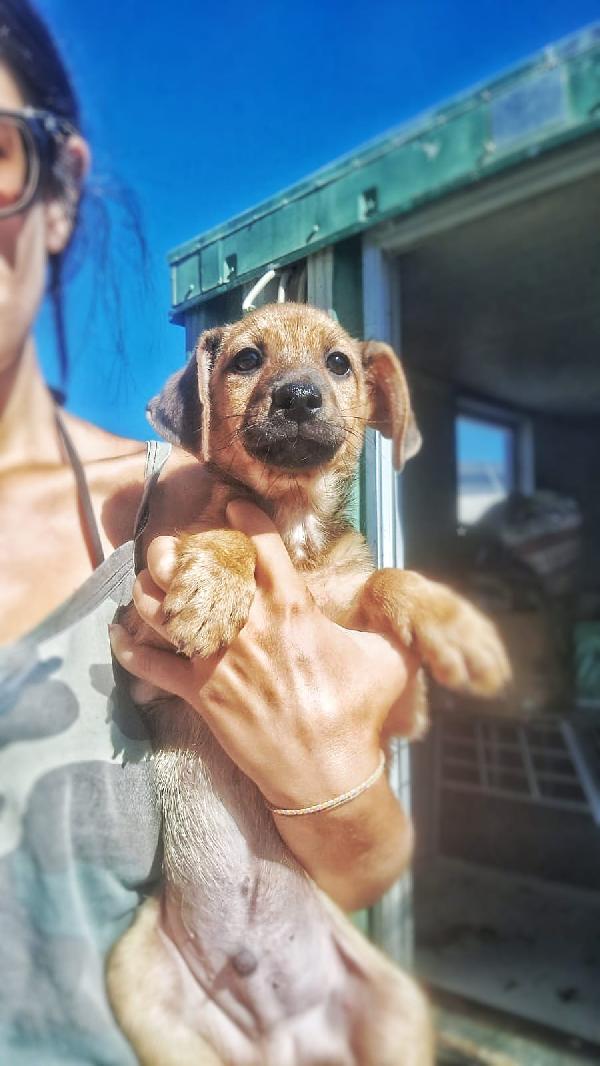 Balú🦴🐕🦴 Foto 5